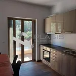 Rent 4 bedroom house of 310 m² in Anavissos Municipal Unit