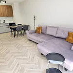 Rent 3 bedroom apartment of 76 m² in Katowice