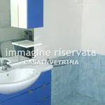 Rent 3 bedroom apartment of 65 m² in Grosseto