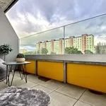 Rent 1 bedroom apartment in Brno