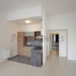 Rent 1 bedroom apartment of 57 m² in Pilsen