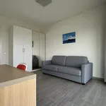 Rent 2 bedroom apartment of 105 m² in Amsterdam