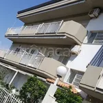 Rent 2 bedroom apartment of 70 m² in Mascali