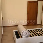 Rent 3 bedroom apartment of 75 m² in Bologna