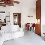 Rent 4 bedroom apartment of 110 m² in Carrara