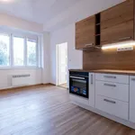 Pronajměte si 1 ložnic/e byt o rozloze 48 m² v Prague