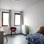 Rent 1 bedroom apartment in Tournai