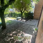 Rent 9 bedroom house of 216 m² in Modena