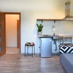 Rent 1 bedroom apartment of 22 m² in Prague