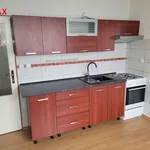 Rent 2 bedroom apartment of 60 m² in Strakonice