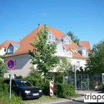 Rent 2 bedroom apartment of 41 m² in Dresden