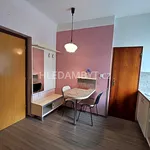 Rent 1 bedroom apartment of 33 m² in Capital City of Prague