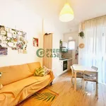 Rent 2 bedroom apartment of 55 m² in Torino