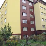 Rent 1 bedroom apartment in Brno