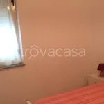 Rent 3 bedroom apartment of 70 m² in Piraino