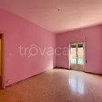 Rent 3 bedroom apartment of 100 m² in Zagarolo