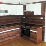 Rent 1 bedroom apartment of 39 m² in Slavkov u Brna