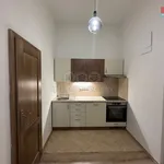 Rent 2 bedroom apartment of 46 m² in Tábor