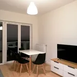 Rent 2 bedroom apartment of 45 m² in Łódź