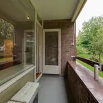 Huur 3 slaapkamer appartement van 109 m² in Amsterdam