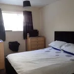 Rent 1 bedroom apartment in East Midlands