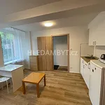 Rent 1 bedroom apartment of 20 m² in Capital City of Prague