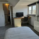 Rent 1 bedroom apartment in Brussels