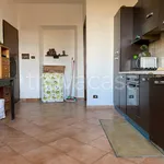 Rent 2 bedroom apartment of 45 m² in Genzano di Roma