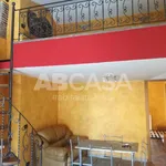 Rent 3 bedroom apartment of 65 m² in Velletri