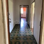 Rent 2 bedroom apartment of 65 m² in Verrone