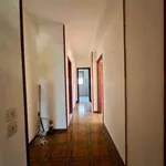 Rent 5 bedroom apartment of 109 m² in Palermo