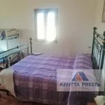 Affitto 1 camera casa di 30 m² in Pisa