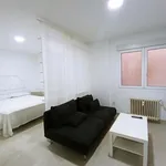 Rent 1 bedroom apartment of 30 m² in Madrid