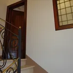 Rent 1 bedroom apartment of 45 m² in Padova