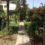 Rent 6 bedroom house in Las Palmas de Gran Canaria