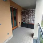 Rent 1 bedroom apartment of 100 m² in Milan