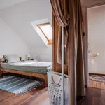 Rent a room of 130 m² in Prague