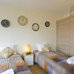 Rent 1 bedroom apartment in Porto