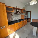 Rent 4 bedroom apartment of 110 m² in Genova