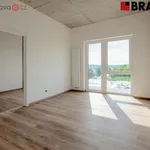 Rent 2 bedroom apartment in Brno