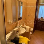 Rent 2 bedroom apartment of 55 m² in Torino