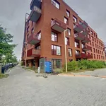 Rent 2 bedroom apartment in Anderlecht