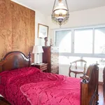 Rent a room of 200 m² in lisbon