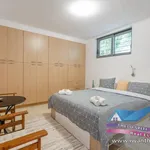 Rent 1 bedroom apartment of 80 m² in Vari Municipal Unit