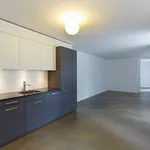 Rent 3 bedroom apartment of 87 m² in Zurich