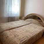 Rent 2 bedroom apartment in Bruntál