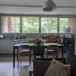 Rent 2 bedroom apartment of 70 m² in Basiglio