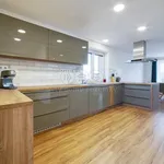 Pronajměte si 1 ložnic/e dům o rozloze 268 m² v Pilsen