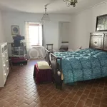 Rent 13 bedroom apartment of 500 m² in Barisciano