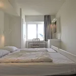 Huur 3 slaapkamer appartement in Knokke-Heist